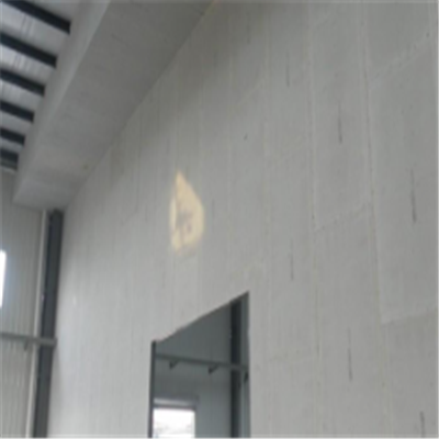 芜湖新型建筑材料掺多种工业废渣的ALC|ACC|FPS模块板材轻质隔墙板